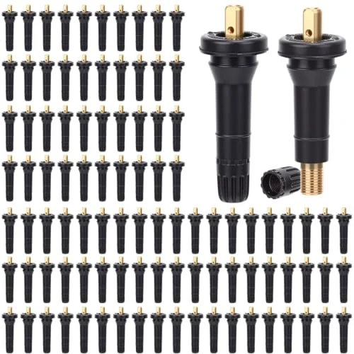 Lot de 100 valves snap-in TPMS 17-20008 pour capteur de pression, photo du produit