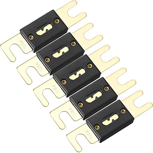 Lot de 5 fusibles ANL 125 A, photo du produit